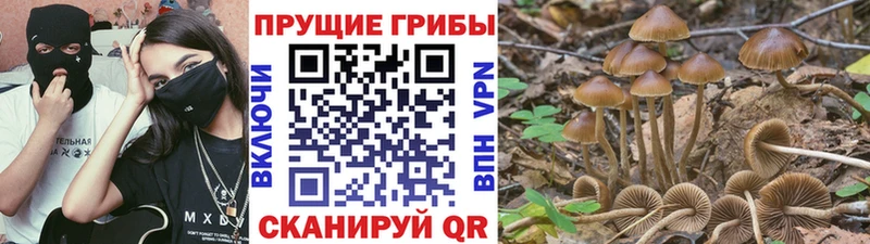 Галлюциногенные грибы ЛСД Володарск